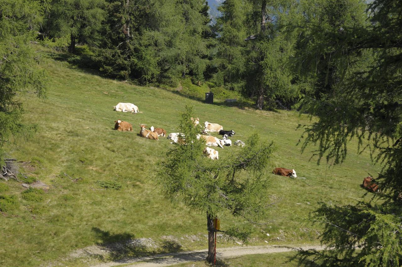 Chaletdorf-Fanningberg Weisspriach Екстер'єр фото