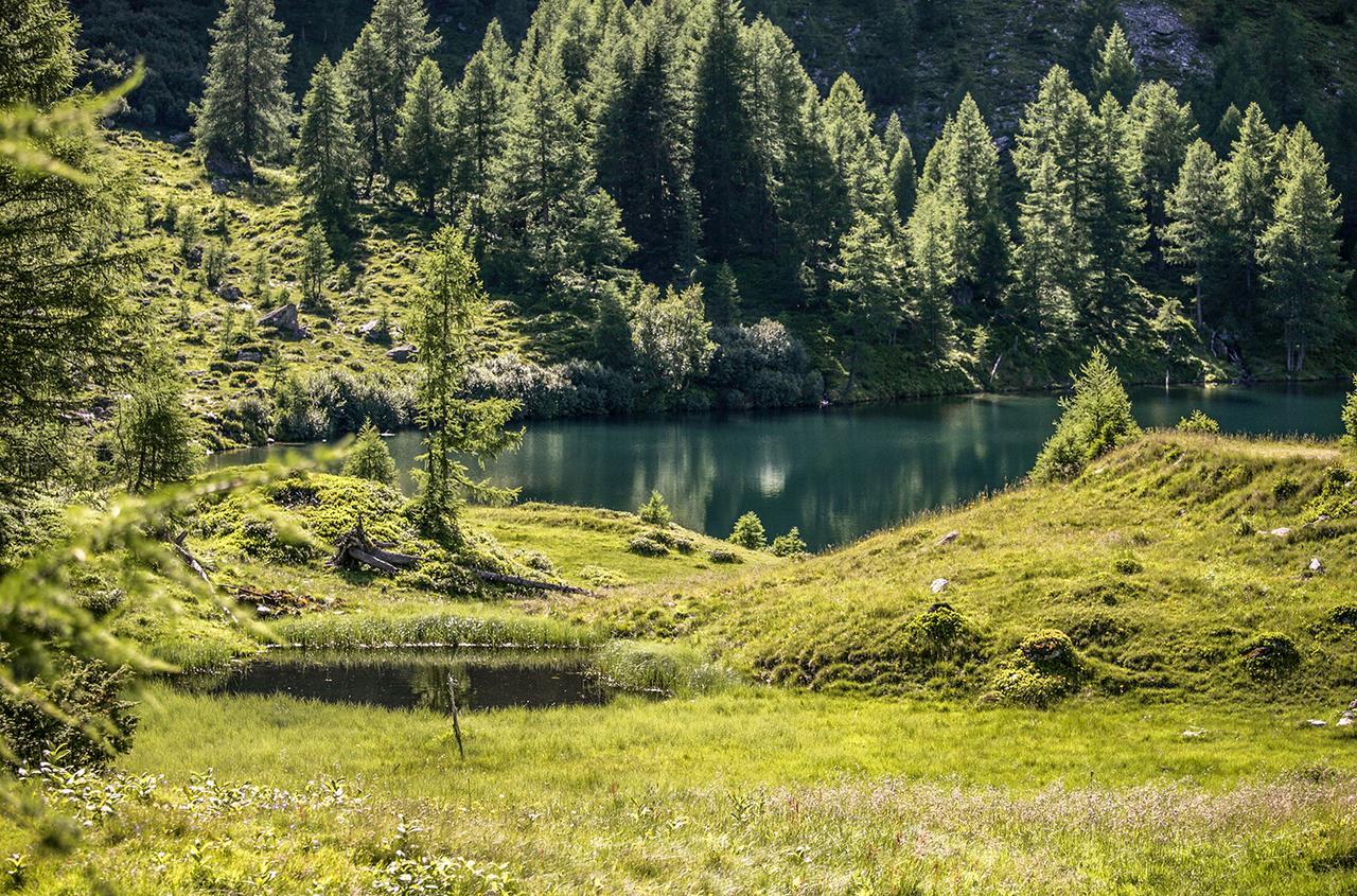 Chaletdorf-Fanningberg Weisspriach Екстер'єр фото